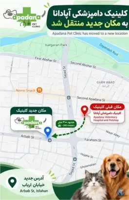 عکس کلینیک دامپزشکی آپادانا، محله فیض، اصفهان 2
