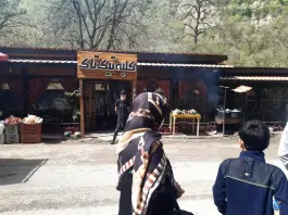عکس های کلبه جنگلی تیک تاک بلده نور