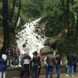 عکس کلبه جنگلی تیک تاک بلده نور 10