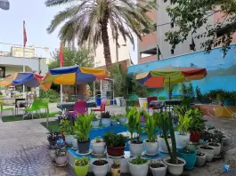 عکس اداره امور بازنشستگان آموزش و پرورش استان فارس - محله فردوسی، شیراز 7