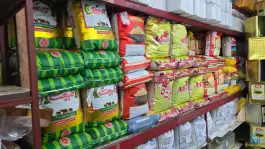 عکس فروشگاه مواد غذایی غرقی، محله دست خضر، شیراز 9
