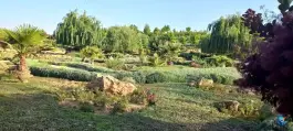 عکس باغ گل های شیراز در محله دینکان منصورآباد شیراز 2