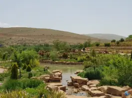 عکس باغ گل های شیراز در محله دینکان منصورآباد شیراز 5
