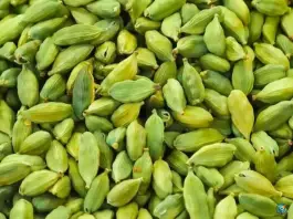 عکس ادویه آرنید، محله رحیم آباد، اصفهان 2