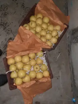 عکس میوه و تره بار دنا، بهارستان، اصفهان 4