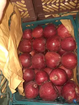 عکس میوه و تره بار دنا، بهارستان، اصفهان 5