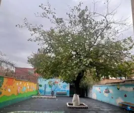 عکس دبستان و پیش دبستانی غیر دولتی آتی نگر تهرانپارس غربی تهران 2