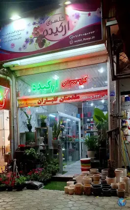 عکس گل سرای ارکیده، شیخ طوسی، اصفهان 1