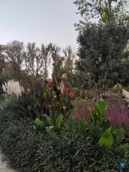 عکس بوستان کسری، جهانشهر، کرج 4