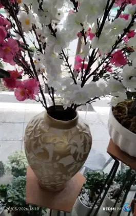 عکس گل الف، محله پانزده خرداد قم 3