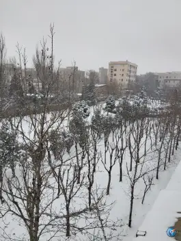 عکس بوستان فرهنگیان، شهرک فهمیده، کرج 3