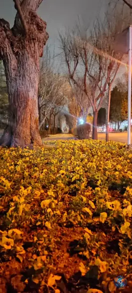 عکس های پیاده راه تندرستی مهرشهر کرج