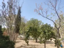 عکس بوستان نسترن، علویه همایونی، اصفهان 2