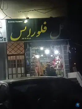عکس های گل فلورانس، محله ریاستی، شیراز