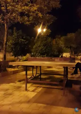 عکس پارک مثلثی «بنفشه» محله قدوسی غربی شیراز 3