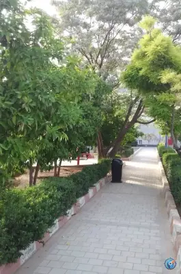 عکس پارک مثلثی «بنفشه» محله قدوسی غربی شیراز 10
