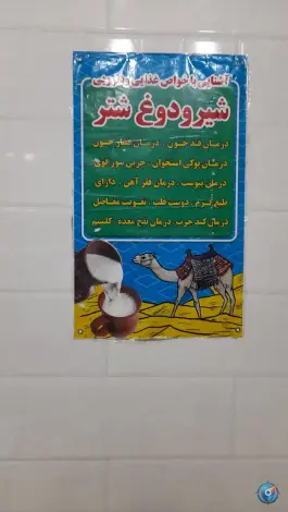 عکس کبابی و قصابی شتر اکرامیان، آزادراه شهید کلانتری، ارومیه 2