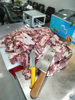 عکس دیزی سرای پوریا، محله فرهنگیان فاز یک، کرمانشاه 4