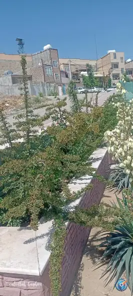 عکس پارک عزیزی، شهرقدس، کرج 2