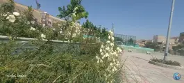عکس پارک عزیزی، شهرقدس، کرج 3