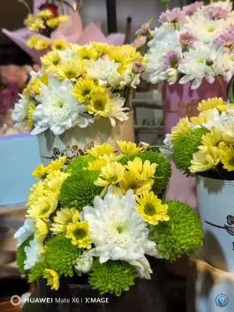 عکس آترین گل، محله طالقانی شرقی، گنبدکاووس 3