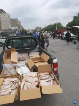 عکس دوشنبه بازار ماهدشت کرج 5