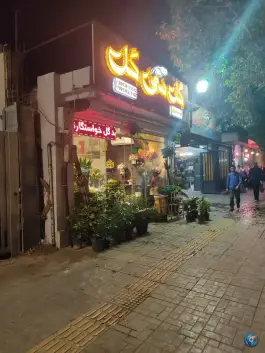 عکس گل سی گل، محله وحید، اصفهان 1