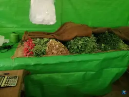 عکس سبزی فروشی محله، کوچه ۲۹ علوی، شیراز 5