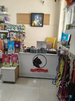عکس پت شاپ هایپت، هوابرد، شیراز 2