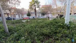 عکس بوستان شمیم، محله بنیاد، قم 3