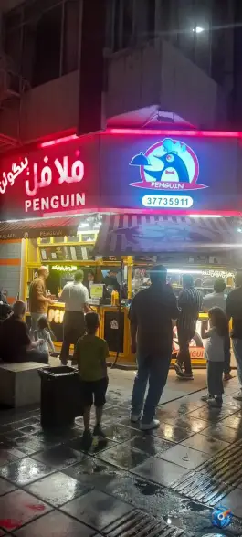 عکس فلافل پنگوئن، صفائیه، قم 1