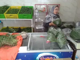 عکس سبزی خرد کنی ربحون، امیرآباد کرج 2
