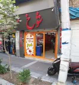عکس ساندویچ شوخ منیریه تهران 1