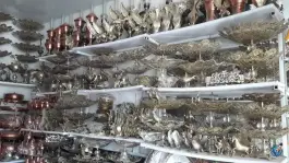 عکس صنایع دستی زنجان علی نادی، بلوار دانشگاه، خرمدره 7