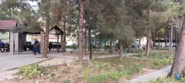 عکس بوستان قدوسی، مهدی آباد، شیراز 7