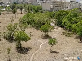 عکس عمارت باغ خونی، محله عنصری، مشهد 4