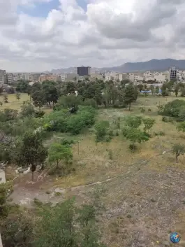 عکس عمارت باغ خونی، محله عنصری، مشهد 9