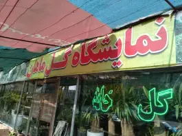 عکس های گل فروشی ماهان، کوی مدرس، کرج