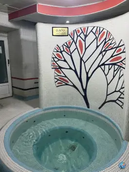 عکس استخر مجموعه ورزشی بهارستان تهران، بهارستان، تهران 3