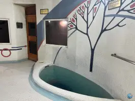عکس استخر مجموعه ورزشی بهارستان تهران، بهارستان، تهران 4