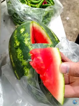 عکس میوه سرای بهار ۶۵، محله فلسطین، مشهد 2