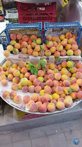 عکس میوه سرای بهار ۶۵، محله فلسطین، مشهد 3
