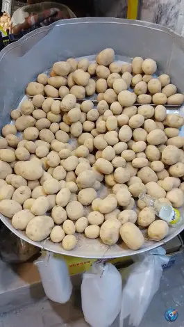عکس میوه سرای بهار ۶۵، محله فلسطین، مشهد 4