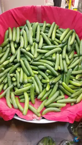 عکس میوه سرای بهار ۶۵، محله فلسطین، مشهد 5