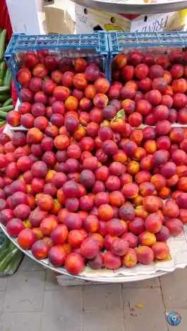 عکس میوه سرای بهار ۶۵، محله فلسطین، مشهد 6