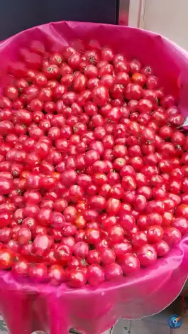 عکس میوه سرای بهار ۶۵، محله فلسطین، مشهد 7