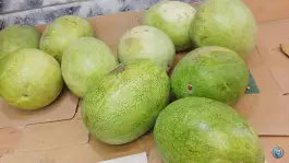 عکس میوه سرای بهار ۶۵، محله فلسطین، مشهد 9