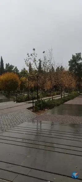 عکس بوستان سه کنج، محله دوستان، شیراز 3