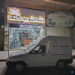 خشکشویی گلها، همایون ویلا، کرج