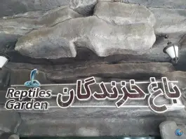 باغ خزندگان، محله دستگرد خیار، اصفهان